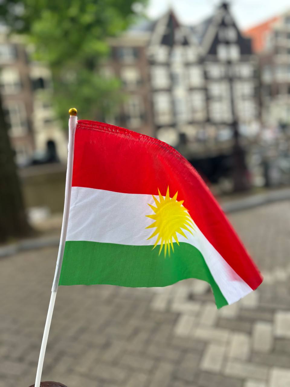 Kurdistan Handheld Flag